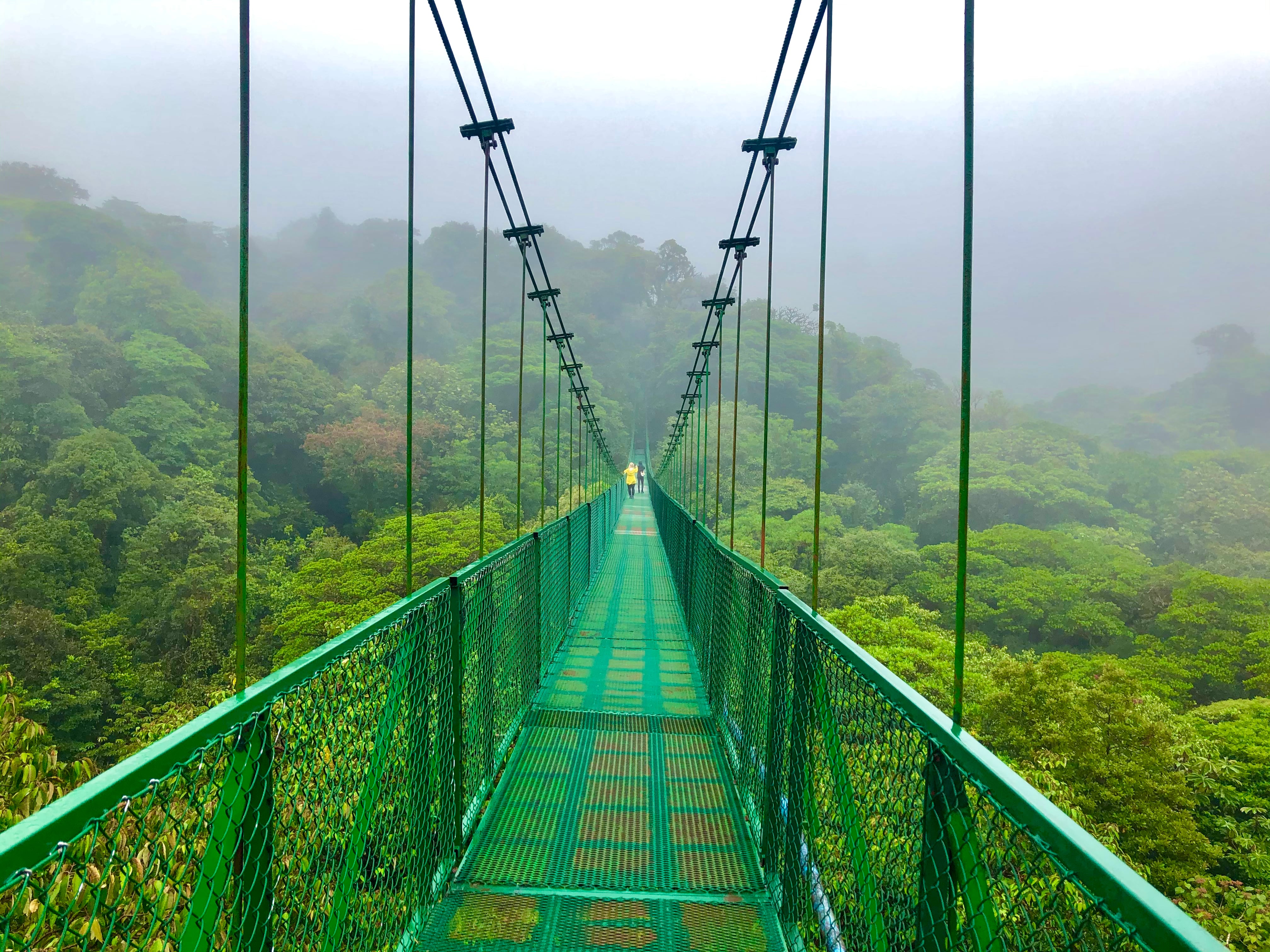 Monteverde — tour y transporte privado en Costa Rica con Apa Tours
