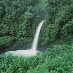 Cascada
