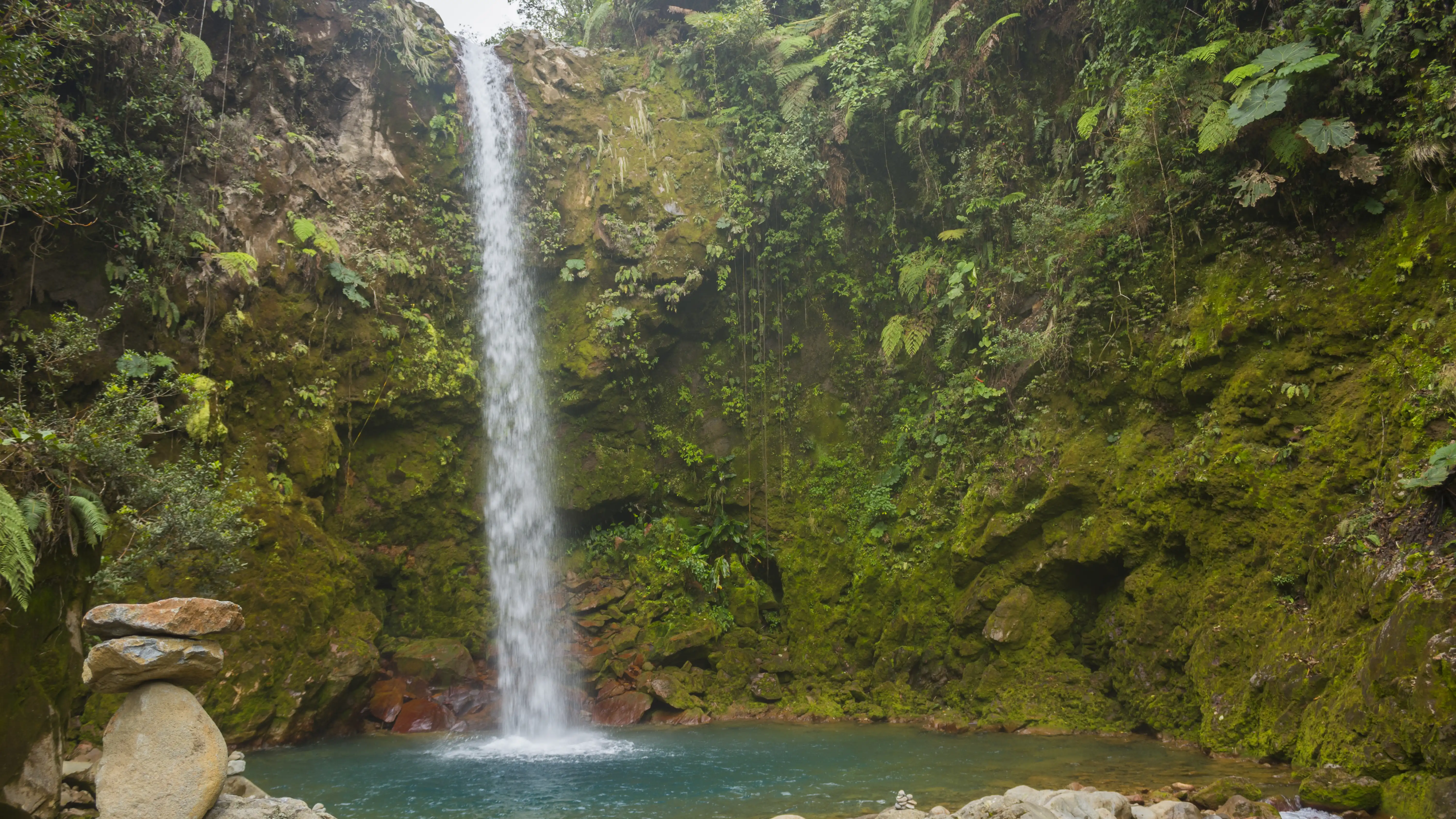 Una gran cascada en medio de un bosque.