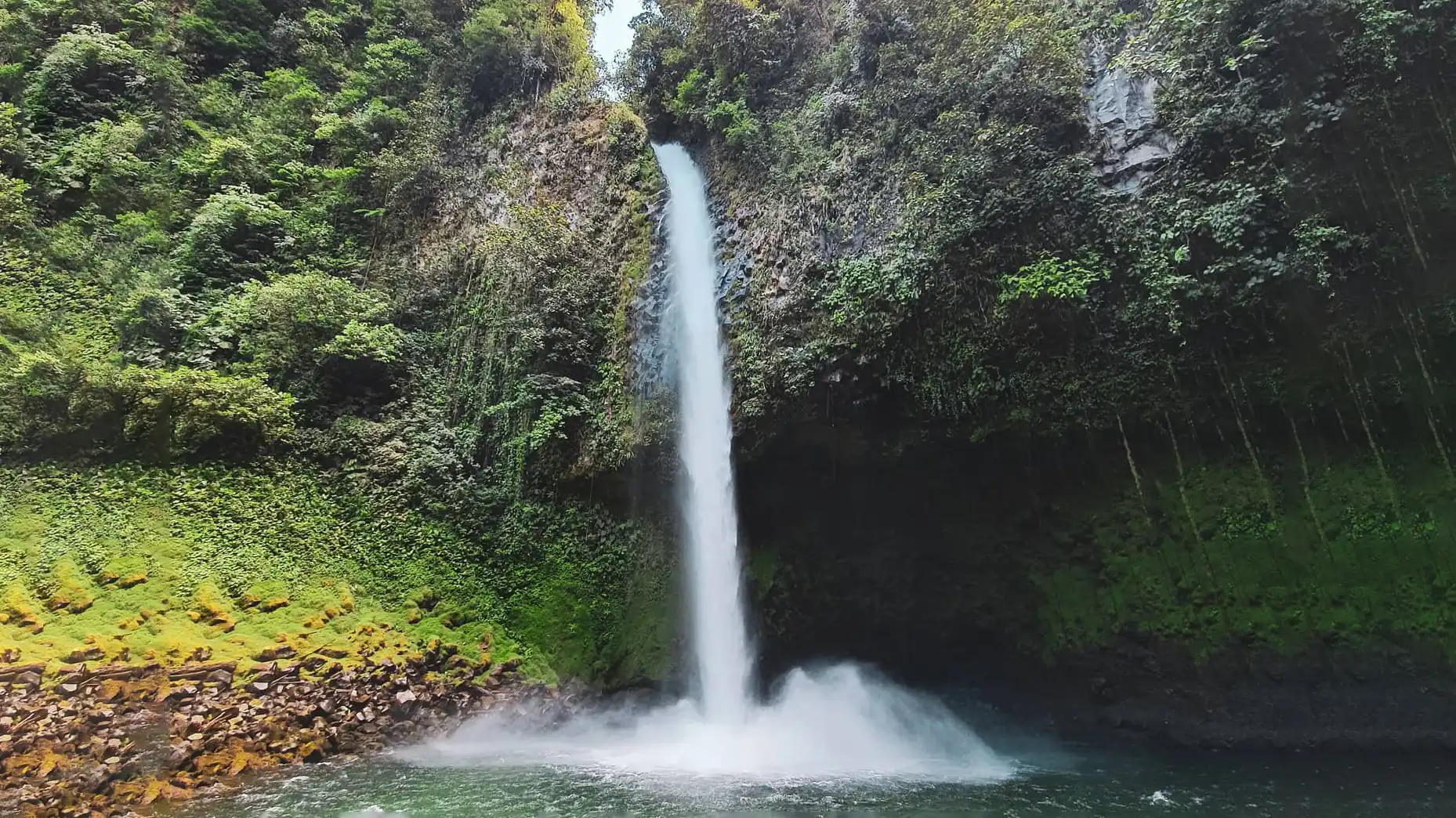 Una cascada en medio de un frondoso bosque verde.