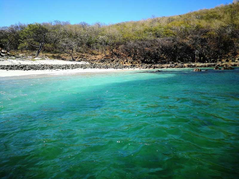 Una foto de una playa.
