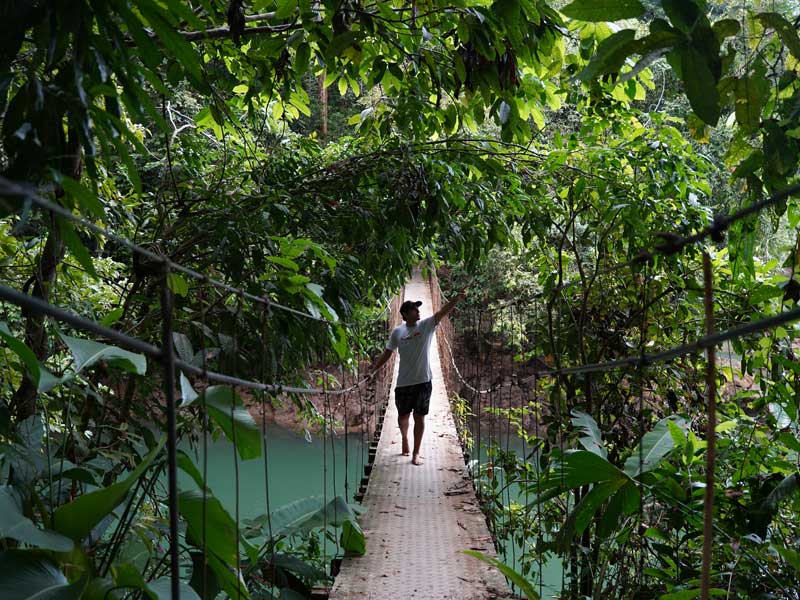 Un hombre cruza un puente en la selva