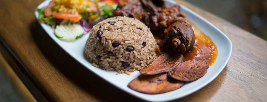Un plato blanco cubierto de arroz y carne.