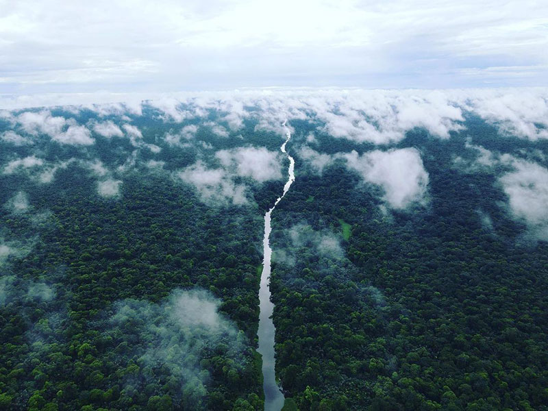vista aérea del río a través de la selva