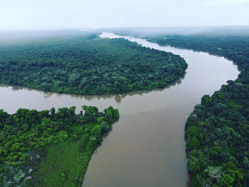 Un río que atraviesa un frondoso bosque verde.