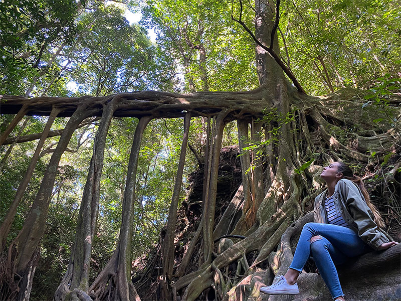mujer sentada junto a las raíces de un árbol sobre el suelo