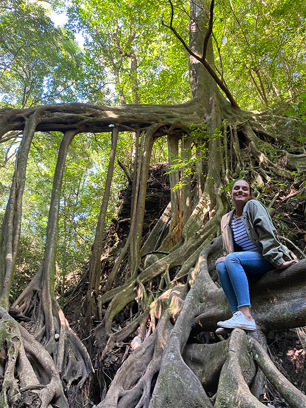 Una mujer sentada en lo alto de un árbol en un bosque.