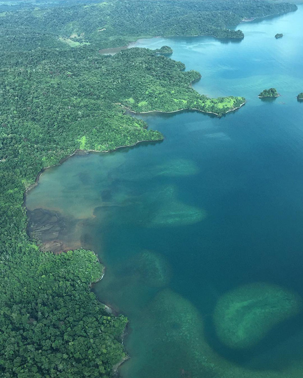 Una gran masa de agua rodeada de frondosos árboles verdes.