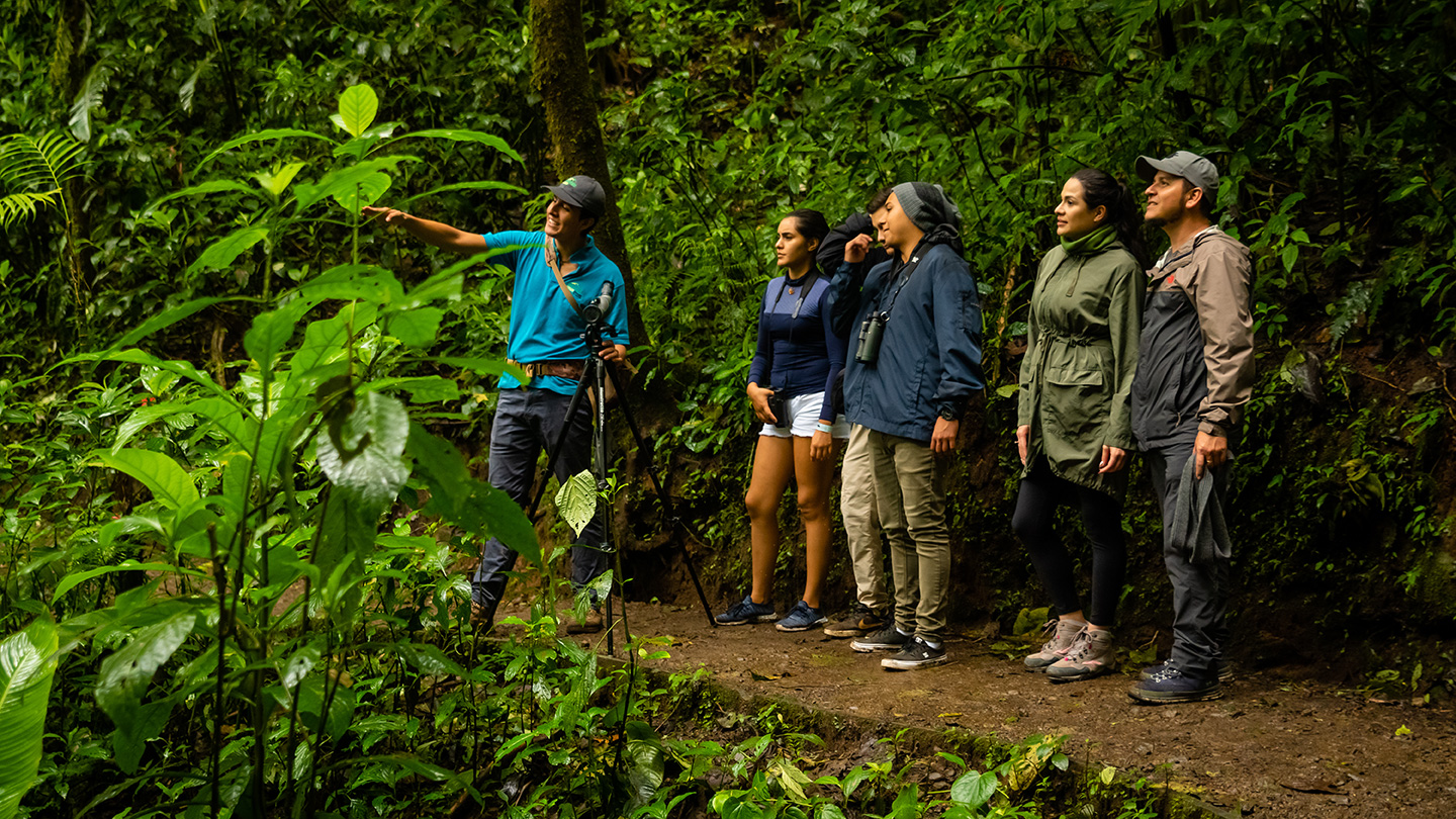 Reserva Biológica Bosque Nuboso de Monteverde 
