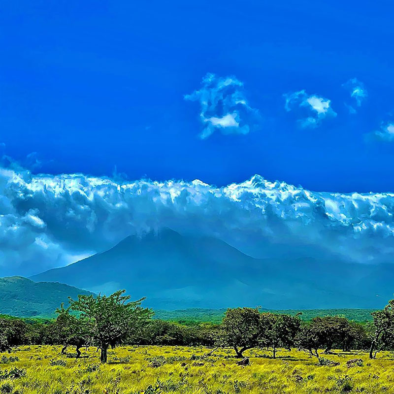 Un campo cubierto de hierba con árboles y montañas al fondo.