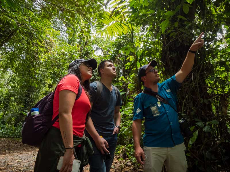 Un grupo de personas de pie unas junto a otras en un bosque .
