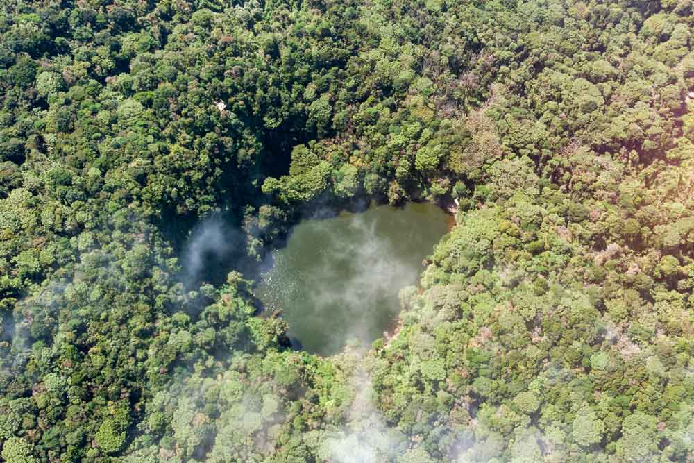 Vista aérea de un lago rodeado de árboles.
