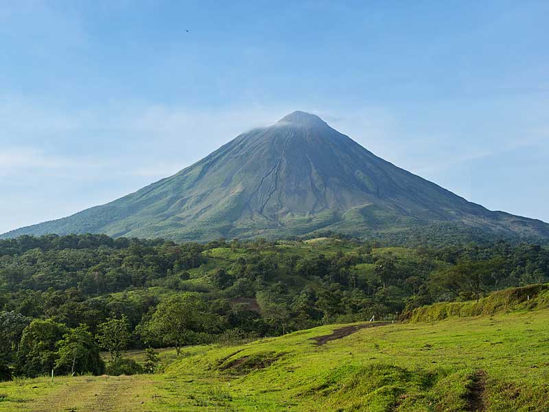 Un campo verde con una montaña al fondo.