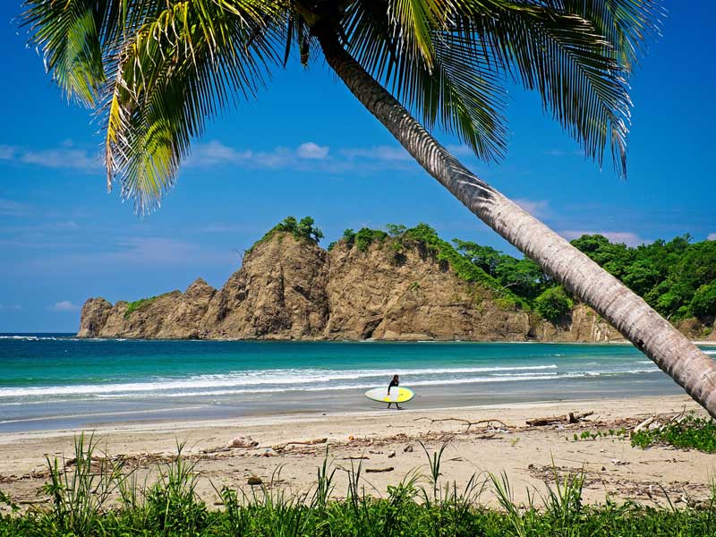 Una persona paseando por una playa con una tabla de surf bajo una palmera.