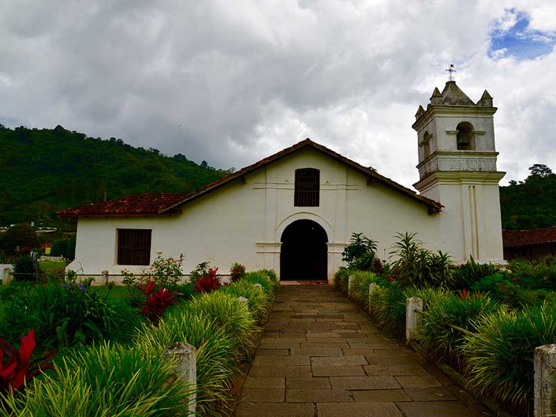 Una iglesia blanca con campanario rodeada de vegetación.