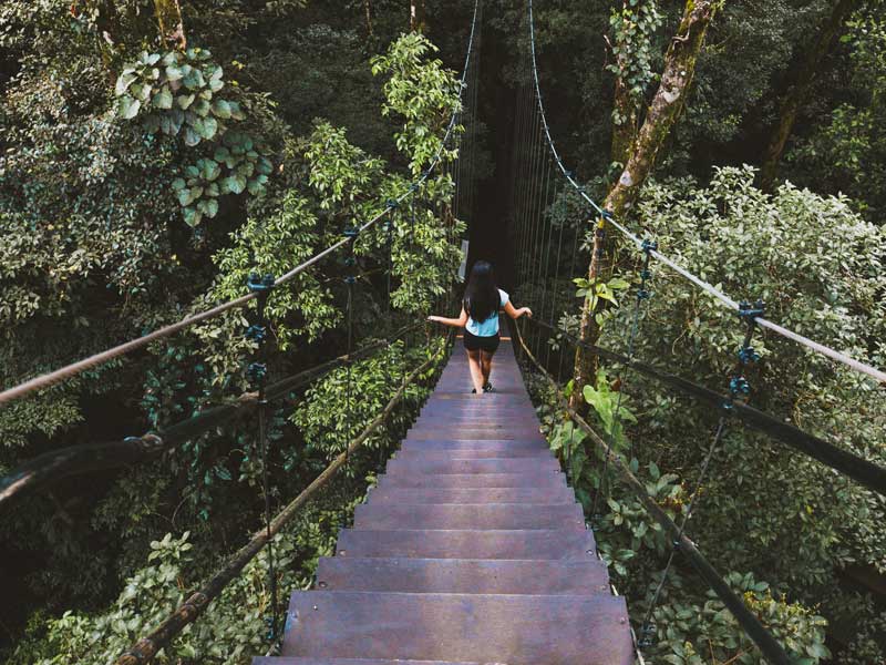 Una mujer camina por un puente colgante en la selva.