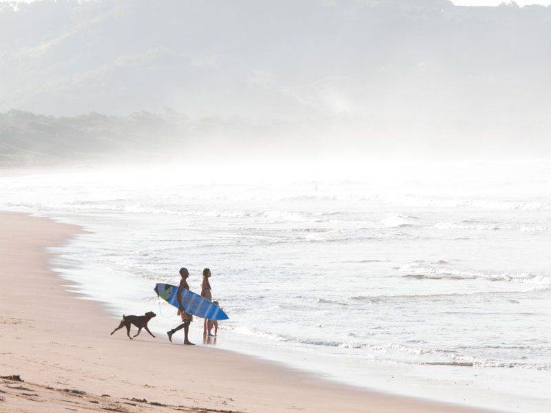 Un grupo de personas paseando por una playa con un perro.