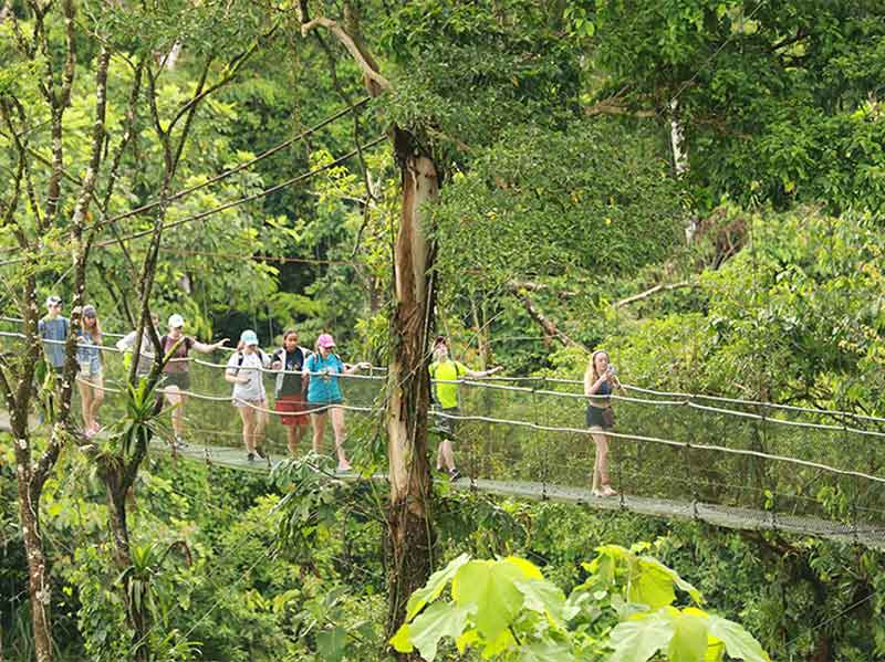Un grupo de personas caminando por un puente colgante.