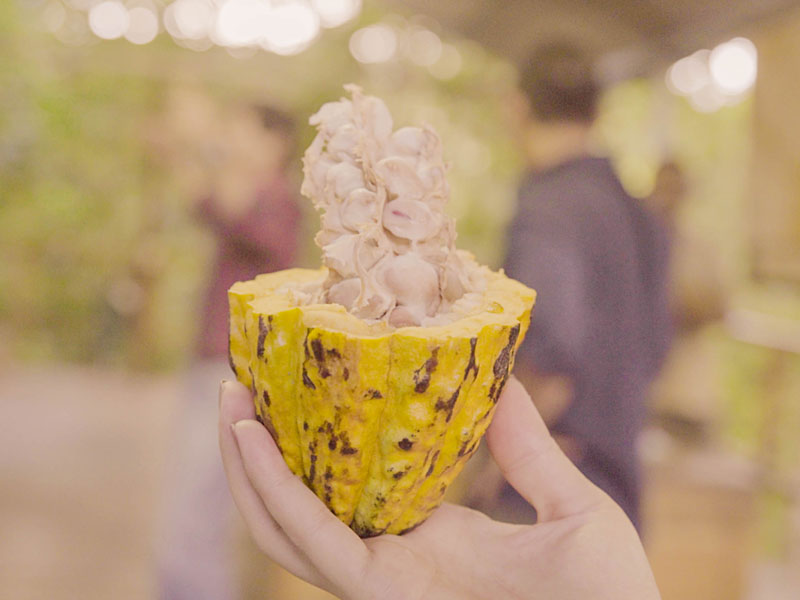 Una persona con una pieza de fruta en la mano.
