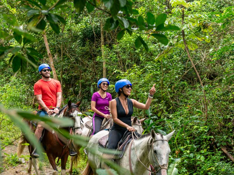 Un grupo de personas montadas a lomos de caballos.