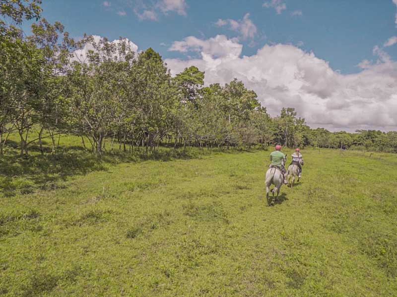 Dos personas a caballo por un frondoso campo verde.