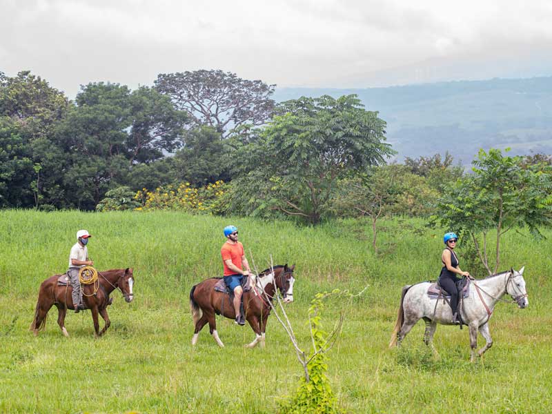 Un grupo de personas montadas a lomos de caballos.