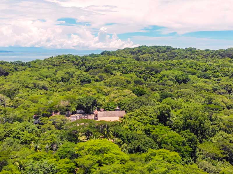 Una vista aérea de un frondoso bosque verde.