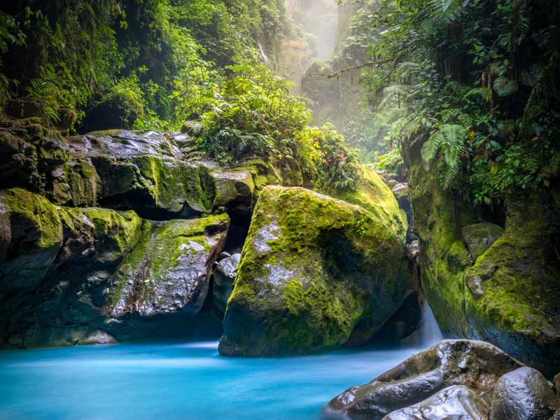 rocas con musgo y cascada en la selva