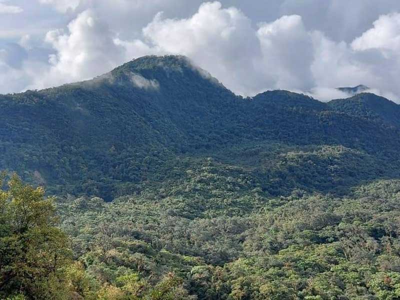Una cadena montañosa con árboles y nubes de fondo. 