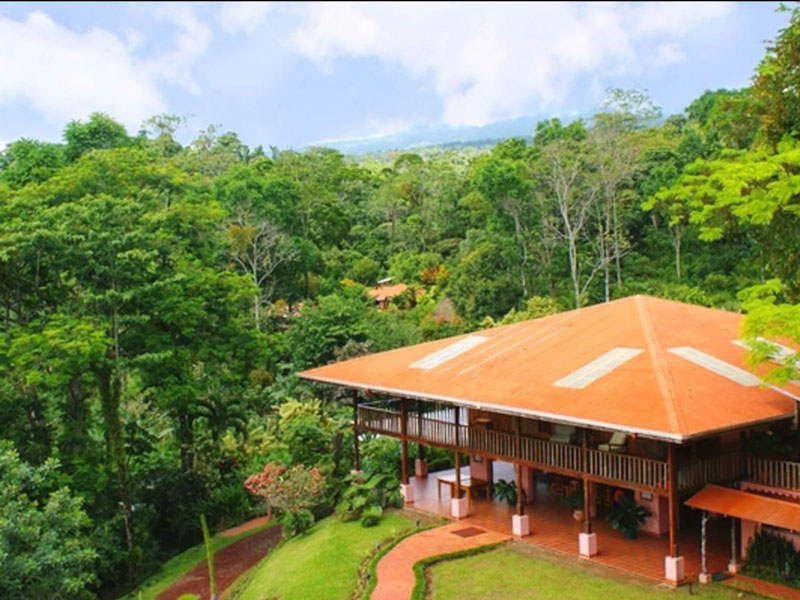 Una casa en medio de un frondoso bosque verde.