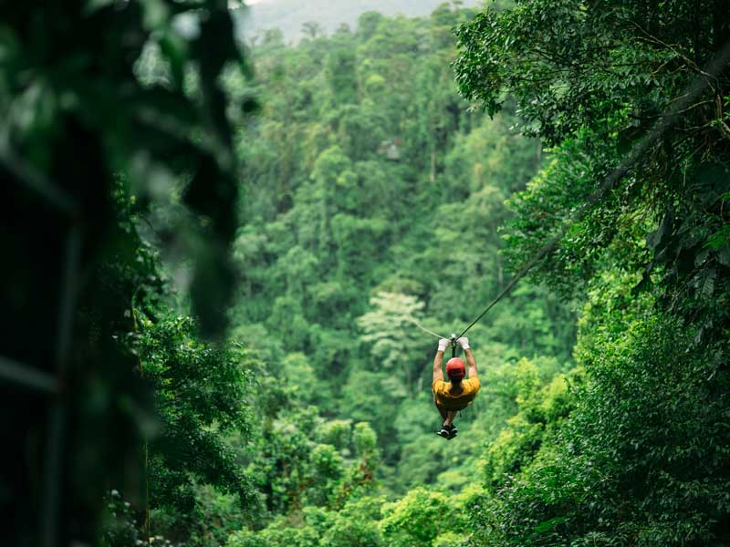 Un hombre montado en una tirolina en medio de un bosque.