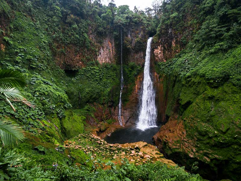 Una cascada en medio de un frondoso bosque verde.