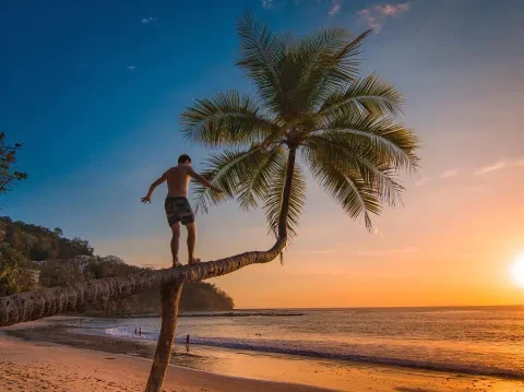 hombre caminando sobre una palmera inclinada en la playa