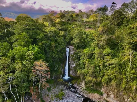 Vista aérea de una cascada en la selva