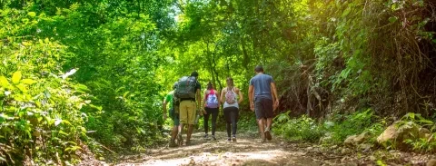 grupo de personas caminando por un sendero