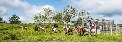 grupo de personas montando a caballo