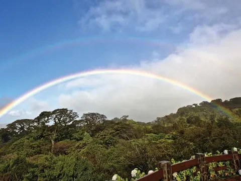 arcoiris sobre el bosque