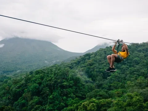 canopy