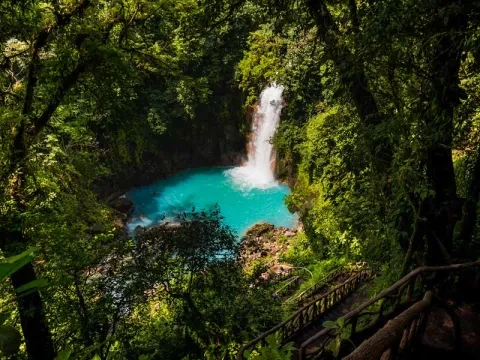 cascada en la selva