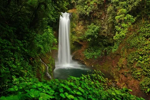 Los Jardines de la Cascada de La Paz, con su frondoso bosque tropical en el Valle Central, Costa Rica