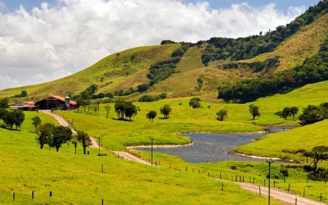 llanuras del norte con vacas