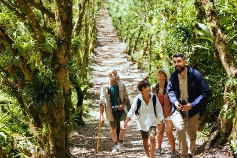 senderismo en grupo observación de aves
