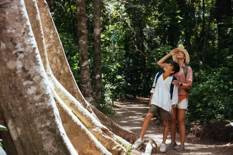 Una madre y su hijo contemplan un gran árbol en el bosque