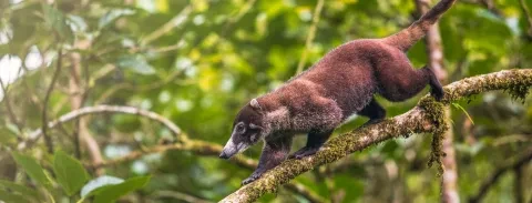 Biodiversidad-Folleto-2.jpg