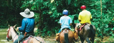 Caballos.jpg