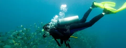 banner-top-buceo.jpg