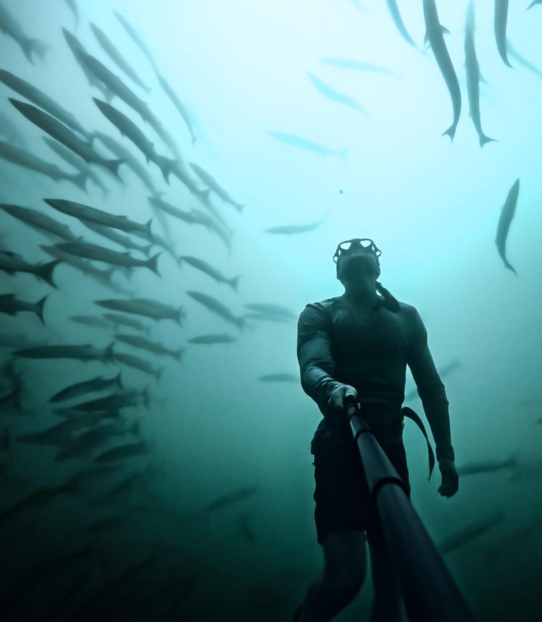 buceo