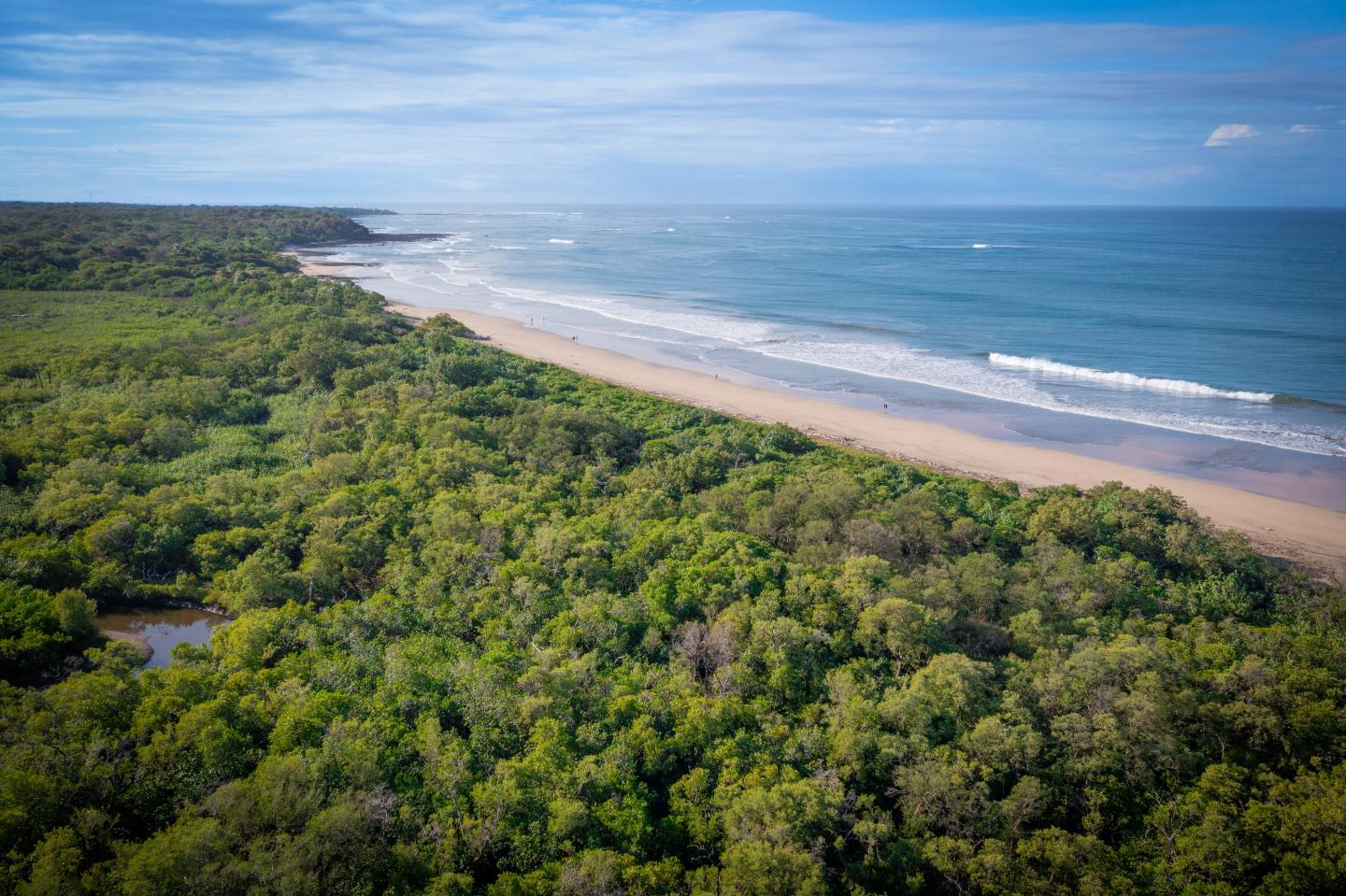Hermosa playa, mar, horizonte y bosque de manglares en Guanacaste, Costa Rica, toma aérea.