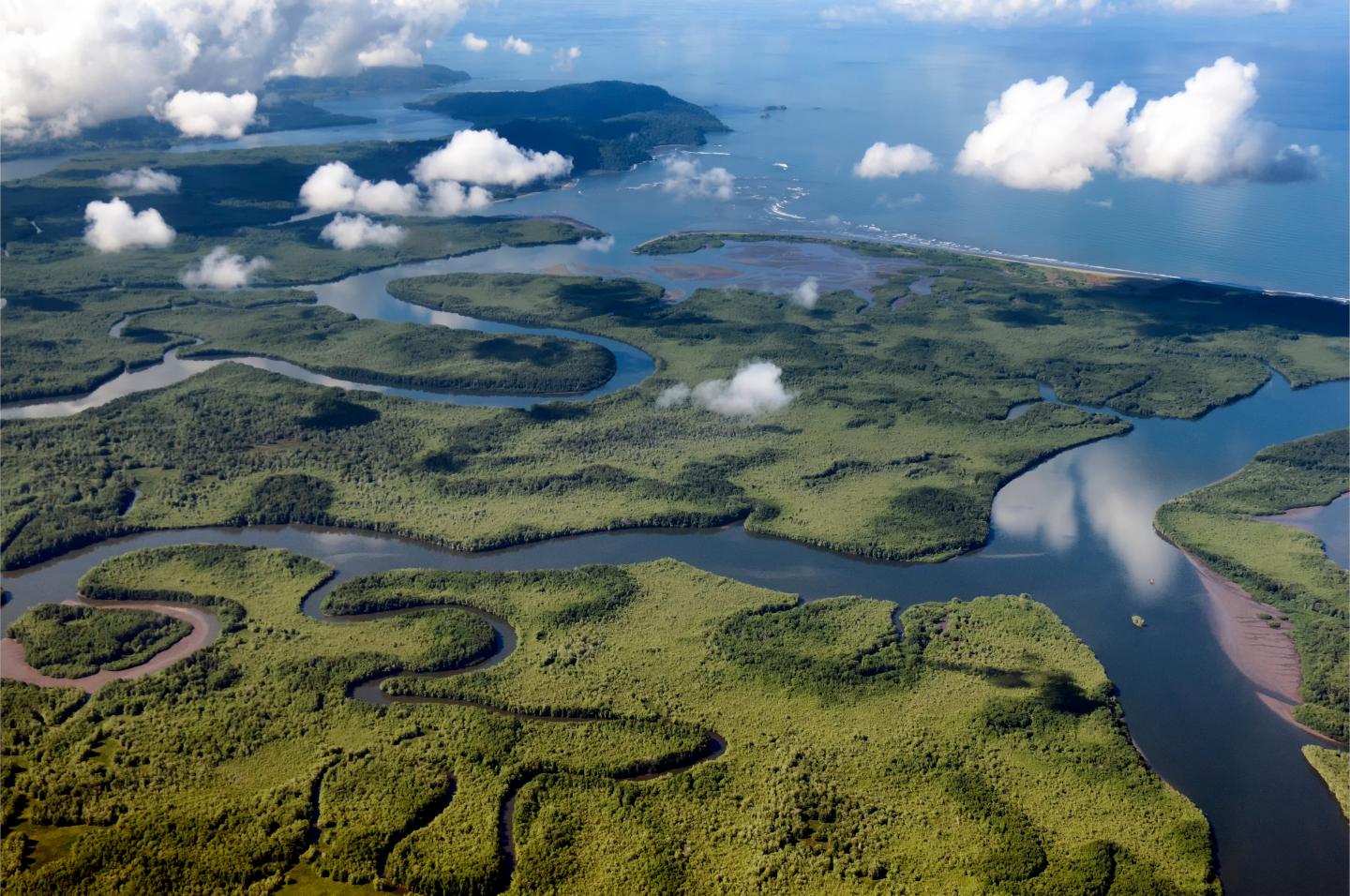 Vista aérea de los ríos que desembocan en el océano.
