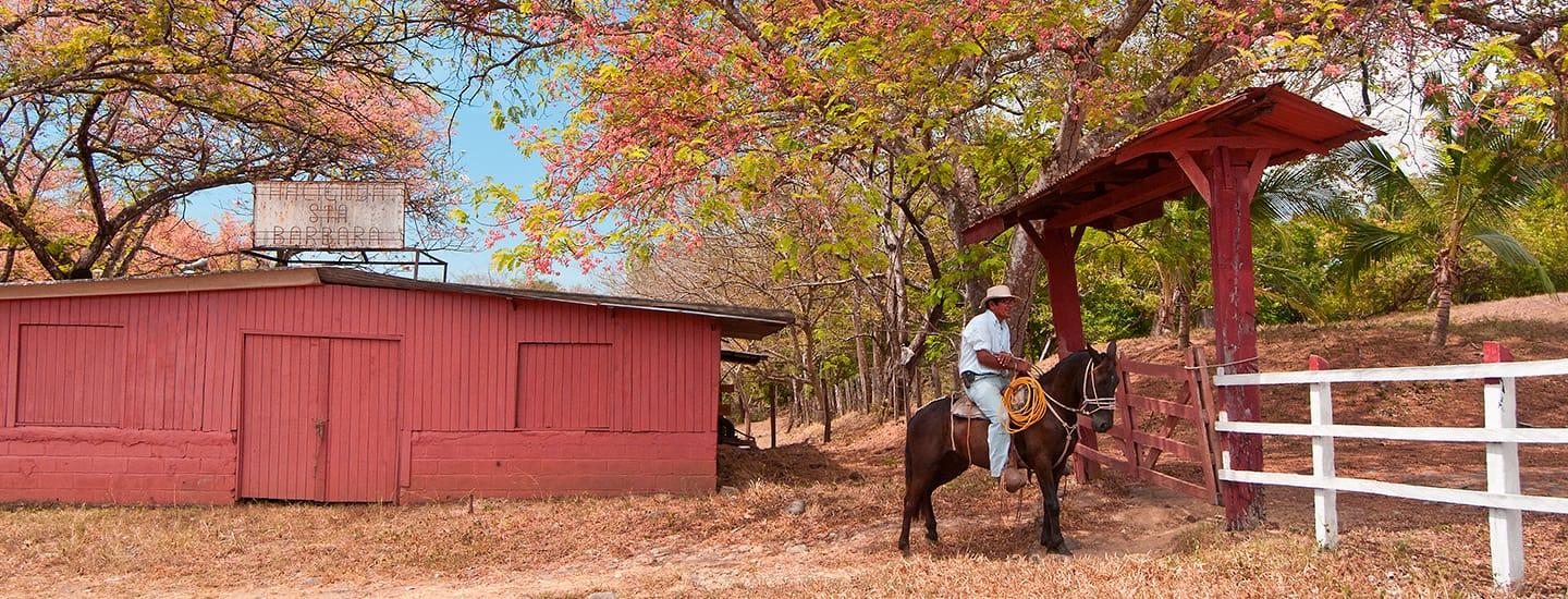 guanacaste-2.jpg